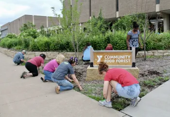food forest